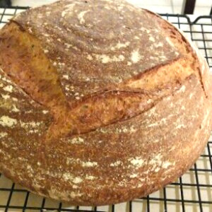 Secrets of Sourdough: Science on the SPOT