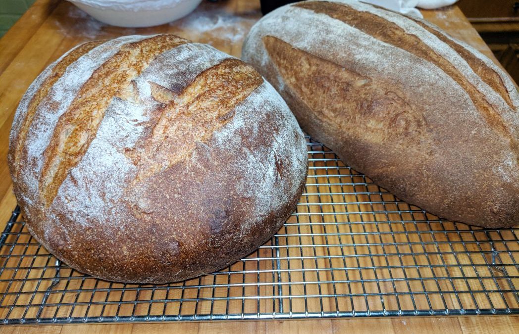 A Bit About Sourdough, Wild Yeast and Fermentation